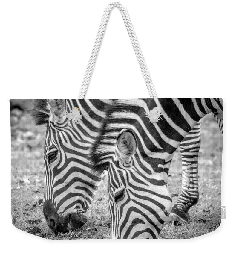 2015 Weekender Tote Bag featuring the photograph Seeing Double by Wade Brooks