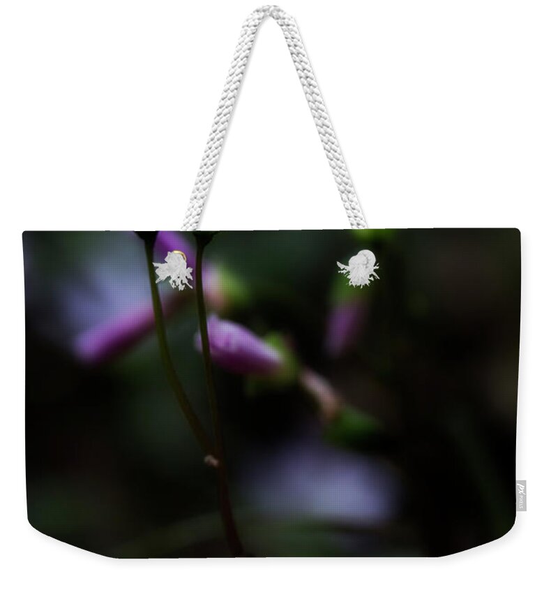 Pink Flowers Weekender Tote Bag featuring the photograph Seek The Light by Mike Eingle