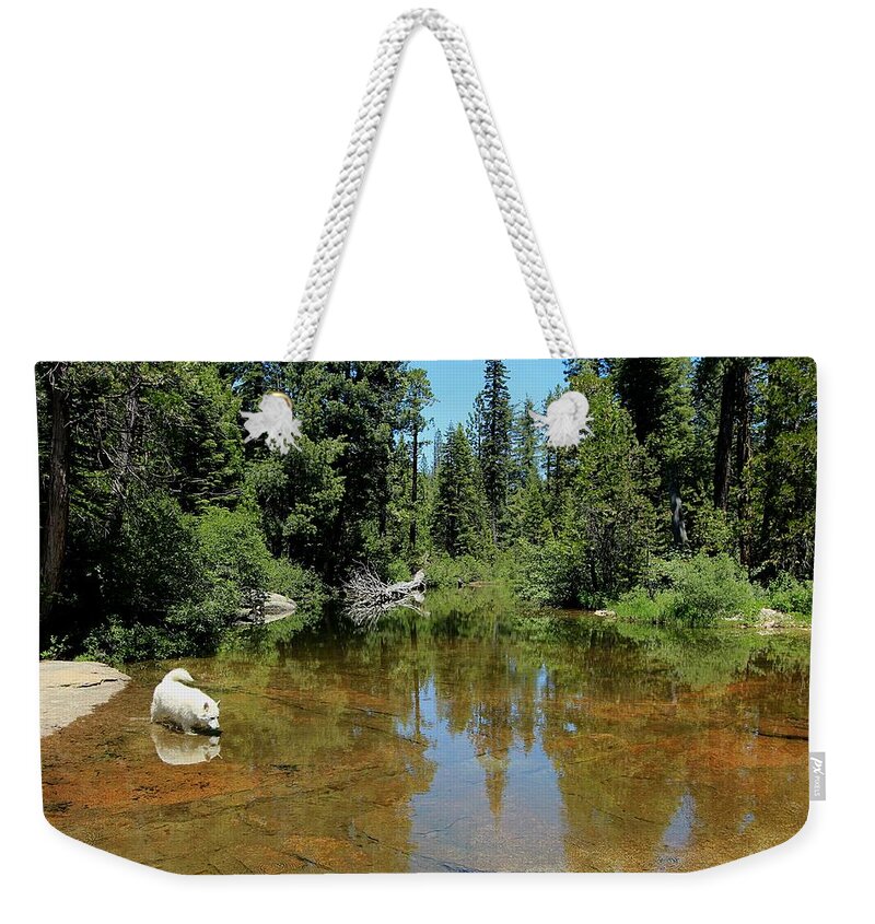 Summer Weekender Tote Bag featuring the photograph Sekani Stream Dream by Sean Sarsfield