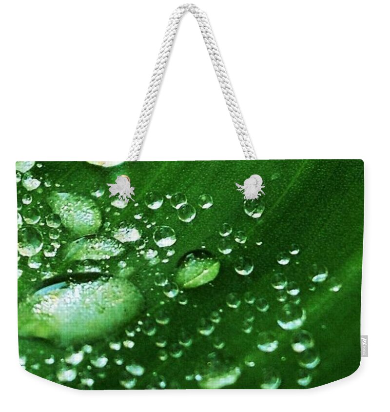 Selfishness Weekender Tote Bag featuring the photograph Growing Carefully by John Glass