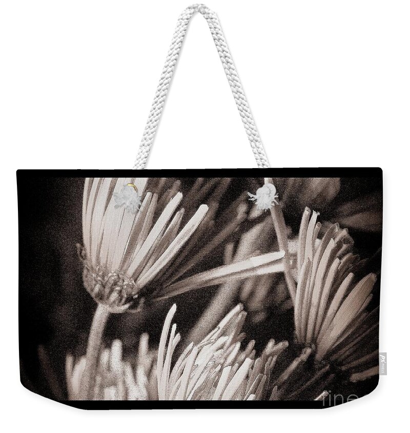 Flowers Weekender Tote Bag featuring the photograph Send me These by Julie Lueders 