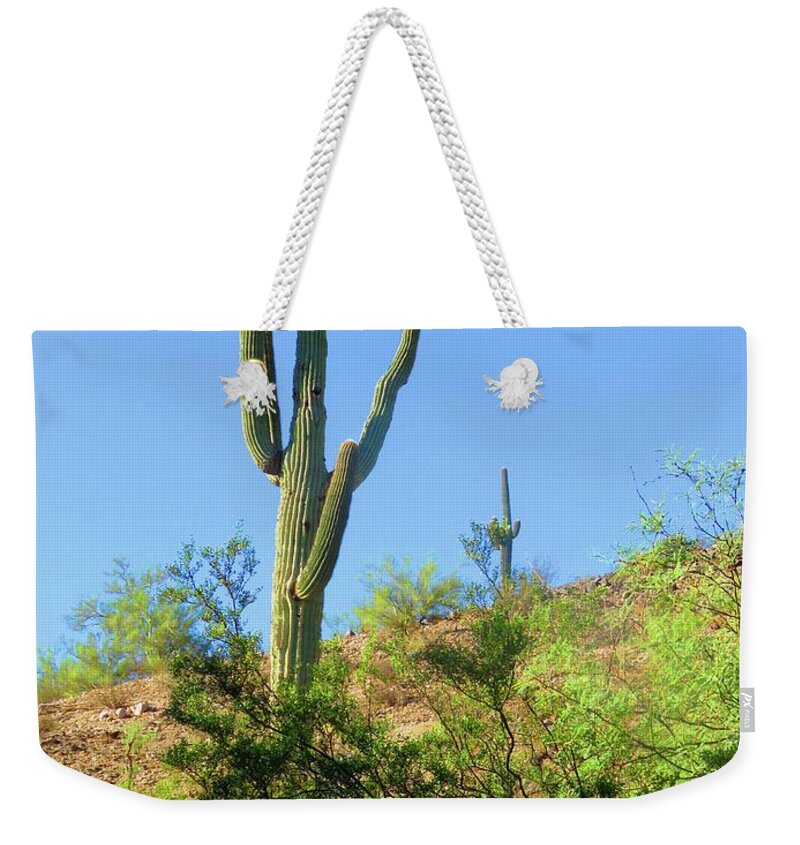 Arizona Weekender Tote Bag featuring the photograph Senior and Junior Soak Up Sun by Judy Kennedy