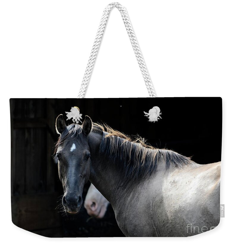 Rosemary Farm Sanctuary Weekender Tote Bag featuring the photograph Senna by Carien Schippers