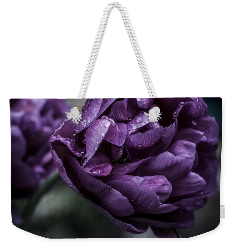 Macro Weekender Tote Bag featuring the photograph Sensational Dreams by Miguel Winterpacht