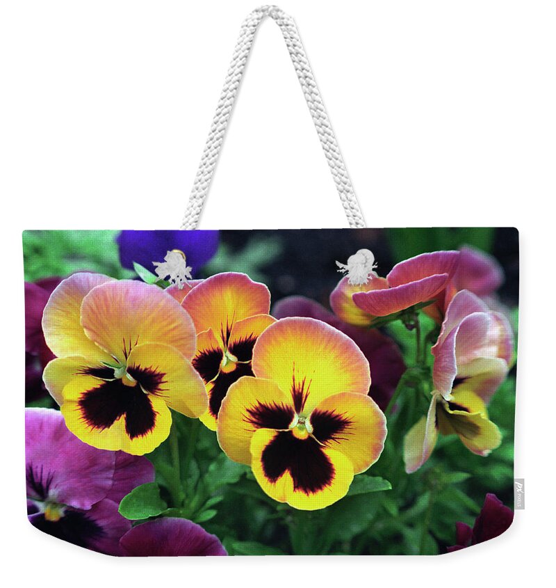 Jigsaw Weekender Tote Bag featuring the photograph Sensational Spring by Carole Gordon