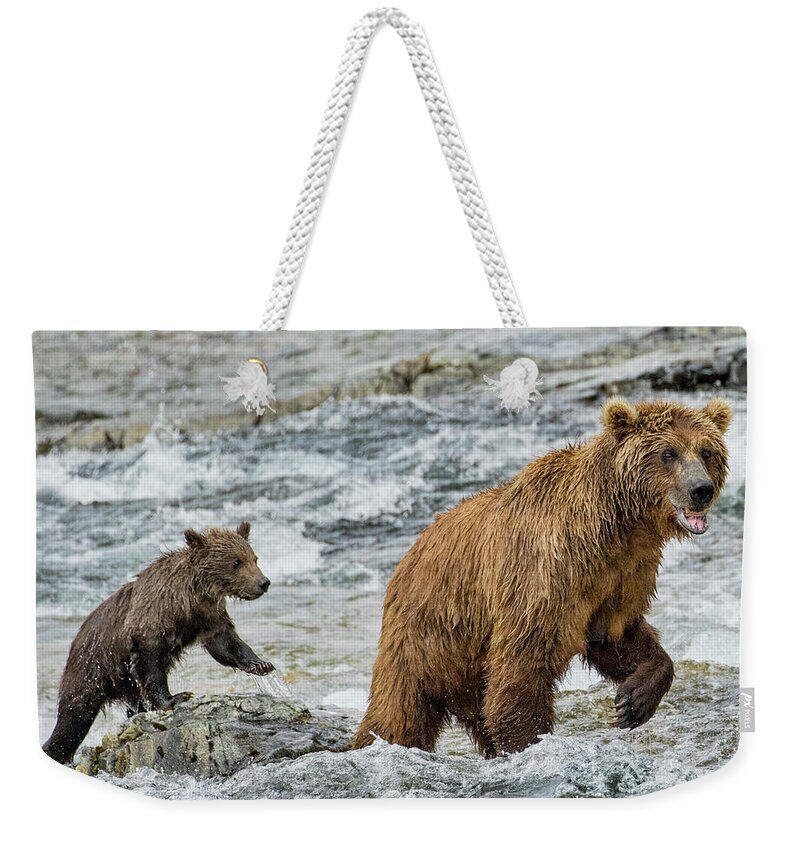 Alaska Weekender Tote Bag featuring the photograph Sensing Danger by Cheryl Strahl