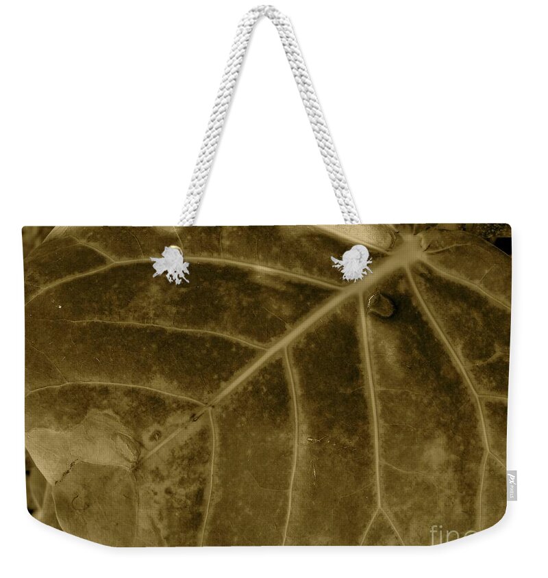 Leaf Weekender Tote Bag featuring the photograph Sepia Foliage by Mafalda Cento