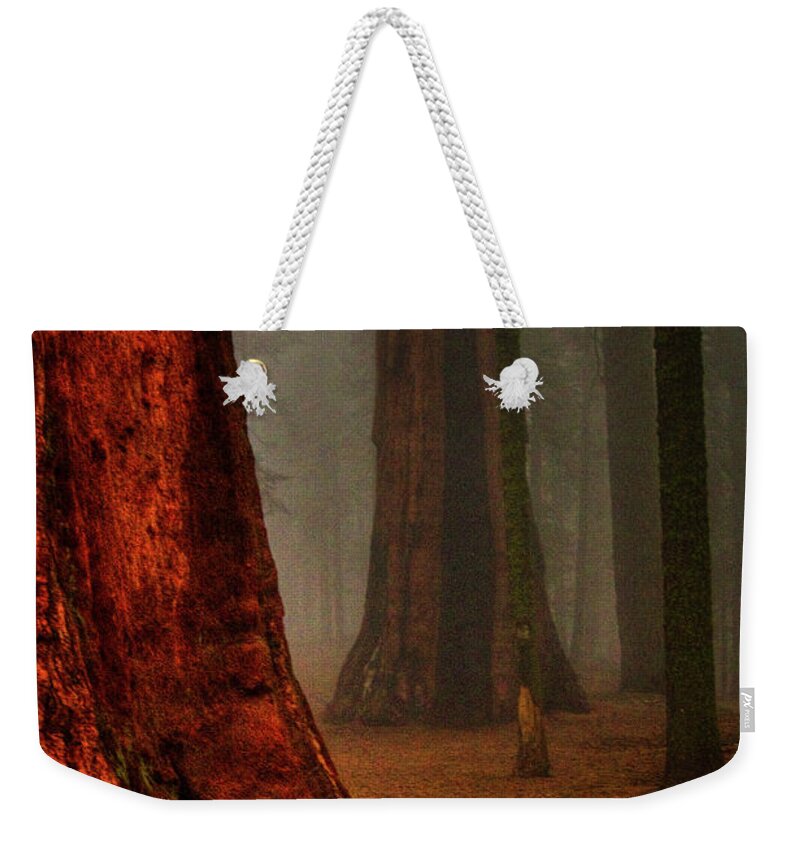 California Weekender Tote Bag featuring the photograph Sequoias in the Clouds by Roger Passman