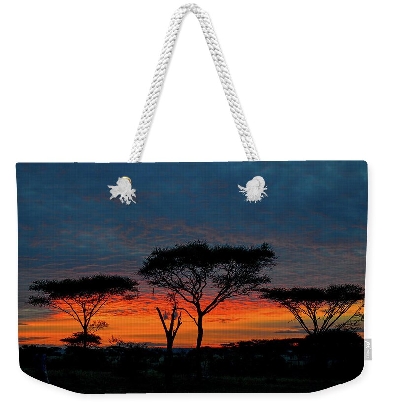 Africa Weekender Tote Bag featuring the photograph Serengeti Sunrise by Marilyn Burton