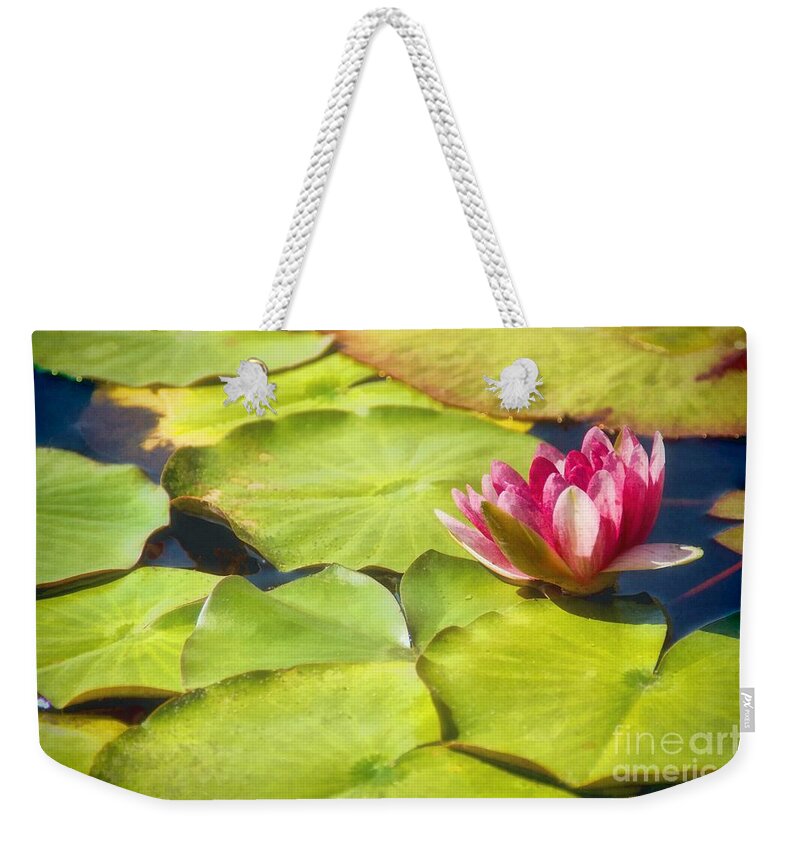 Pink Weekender Tote Bag featuring the photograph Serenity And Solitude by Peggy Hughes