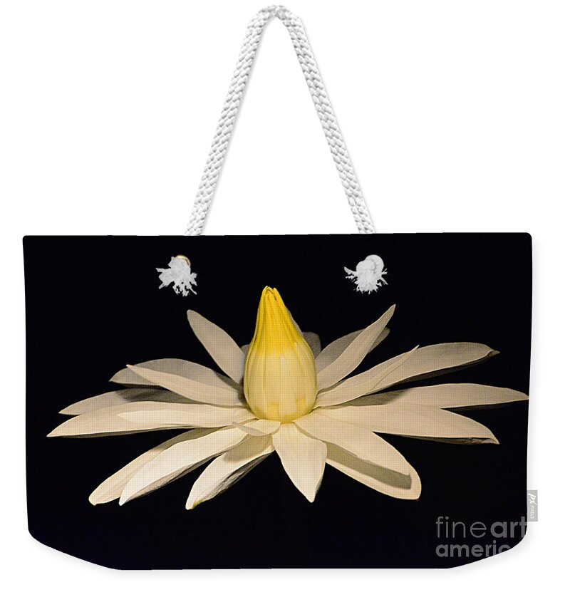 Flower Weekender Tote Bag featuring the photograph Serenity by Cindy Manero