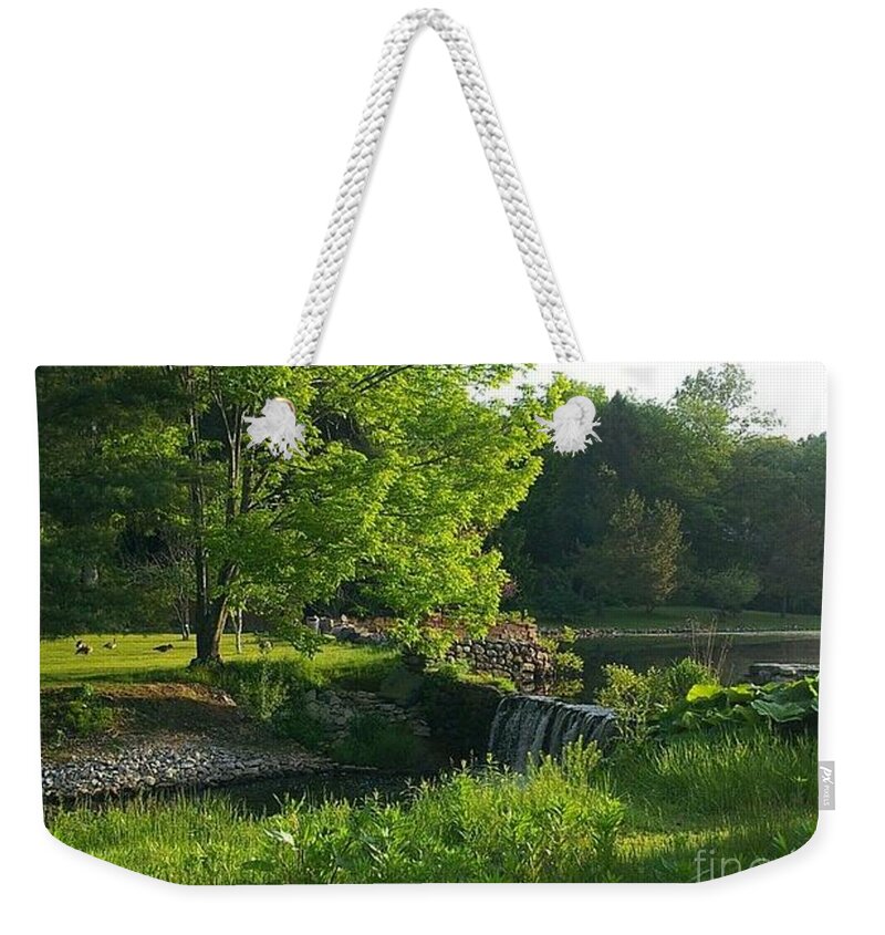 Landscape Weekender Tote Bag featuring the photograph Serenity by Dani McEvoy