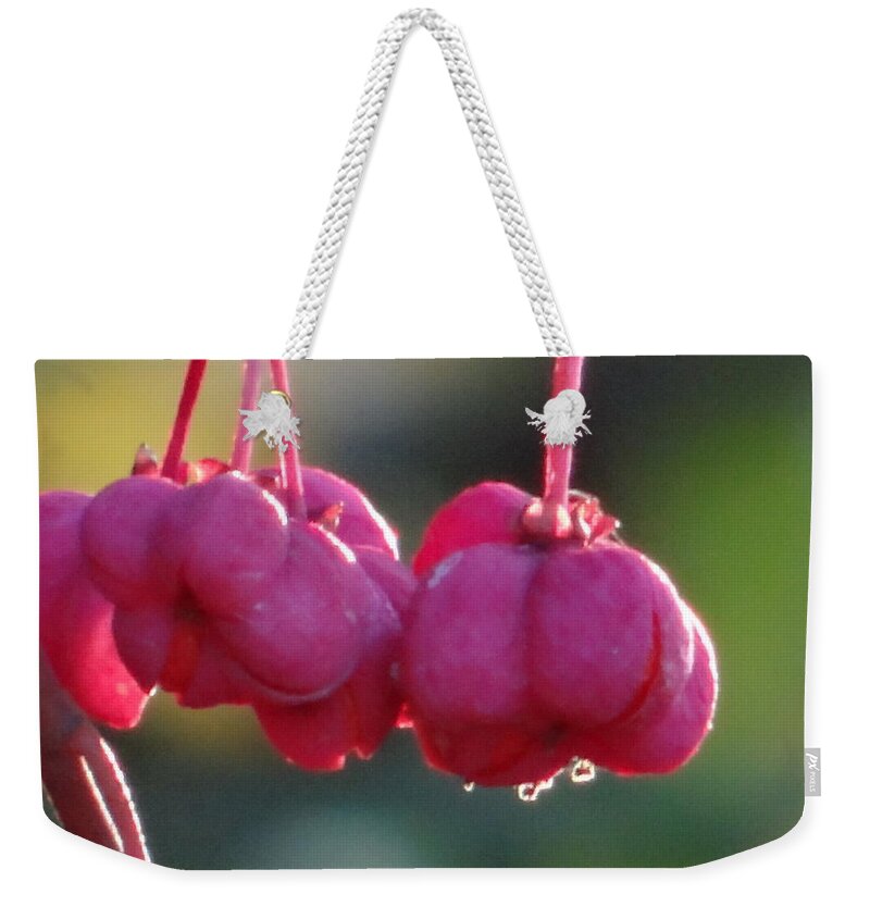 Serenity Weekender Tote Bag featuring the photograph Serenity by Karin Ravasio