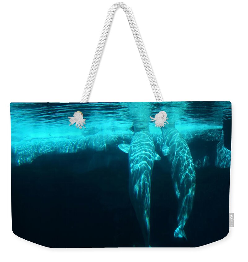 Whale Weekender Tote Bag featuring the photograph Serenity by Linda Shafer