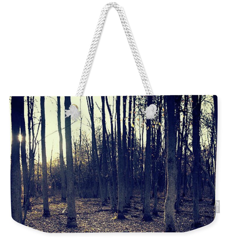 Landscape Weekender Tote Bag featuring the photograph Series Silent Woods 1 by RicharD Murphy