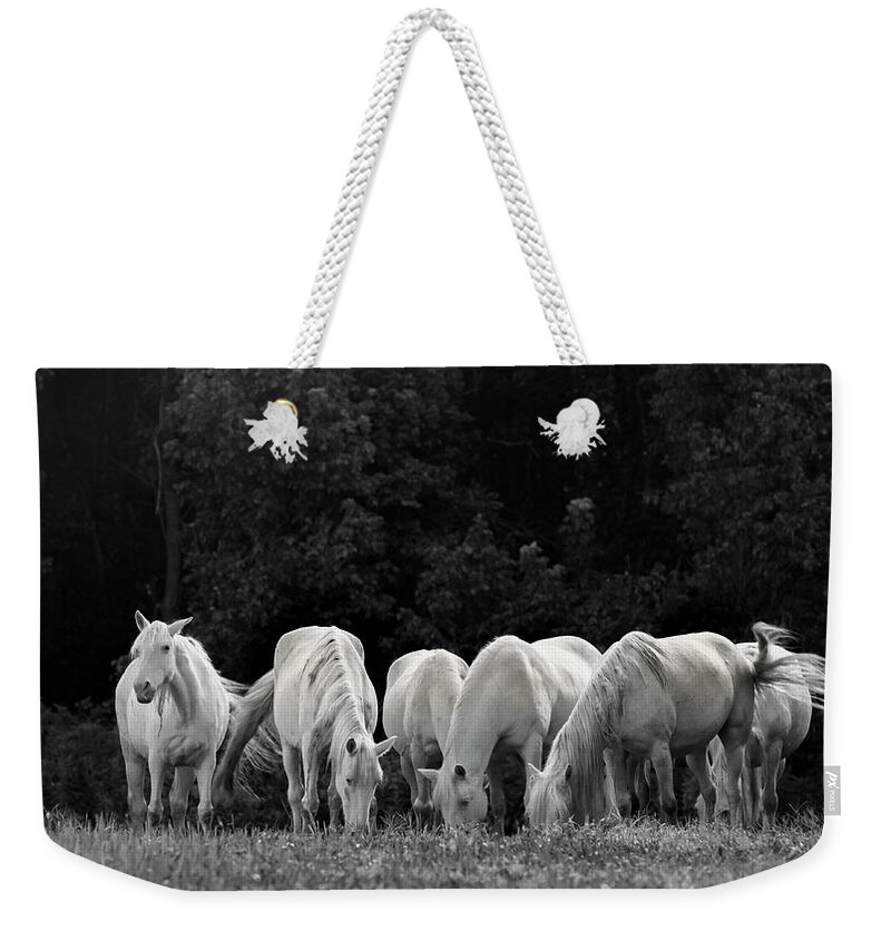 Horses Weekender Tote Bag featuring the photograph Seven White Ponies by Holly Ross