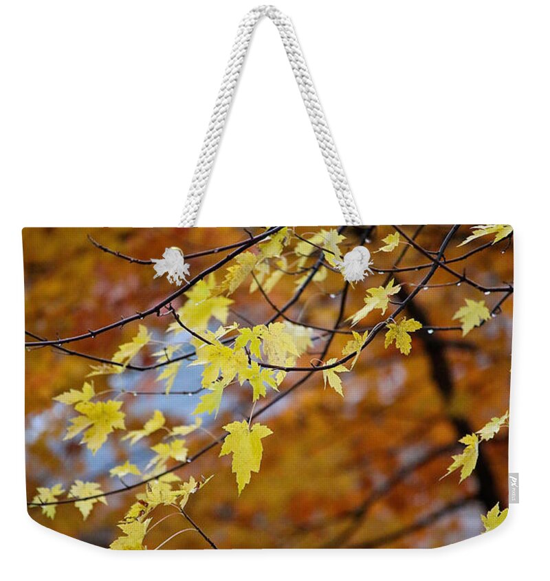 Outdoors Weekender Tote Bag featuring the photograph Shades Of Ochre by Susan Herber