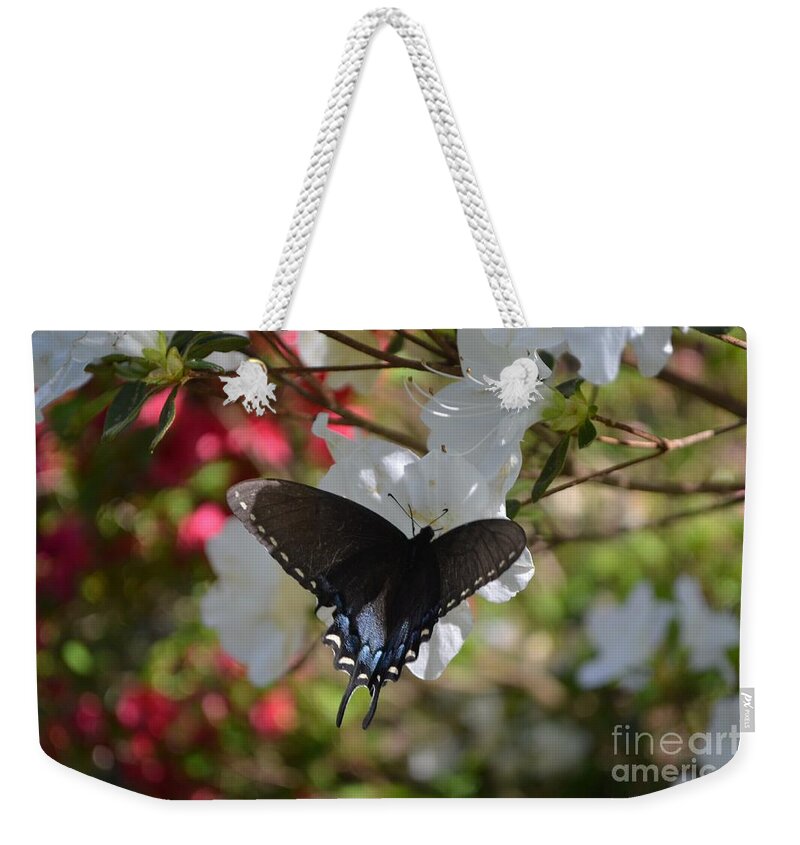 Butterfly Weekender Tote Bag featuring the photograph Shades of Spring by Mary Rogers