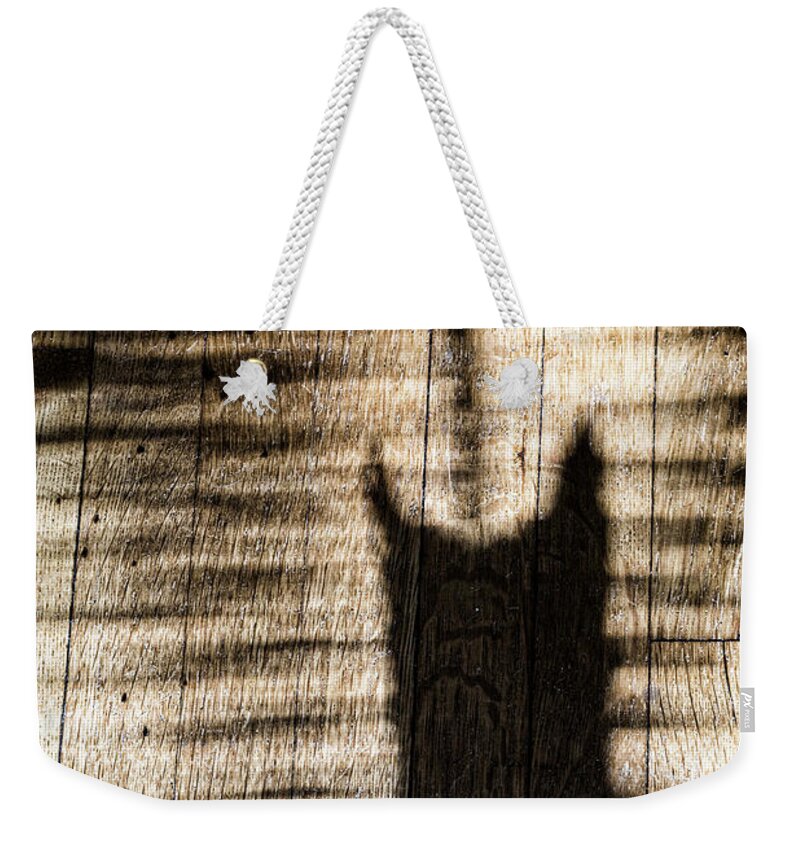 Jackie Moon Weekender Tote Bag featuring the photograph Shadow Cat by Sharon Popek