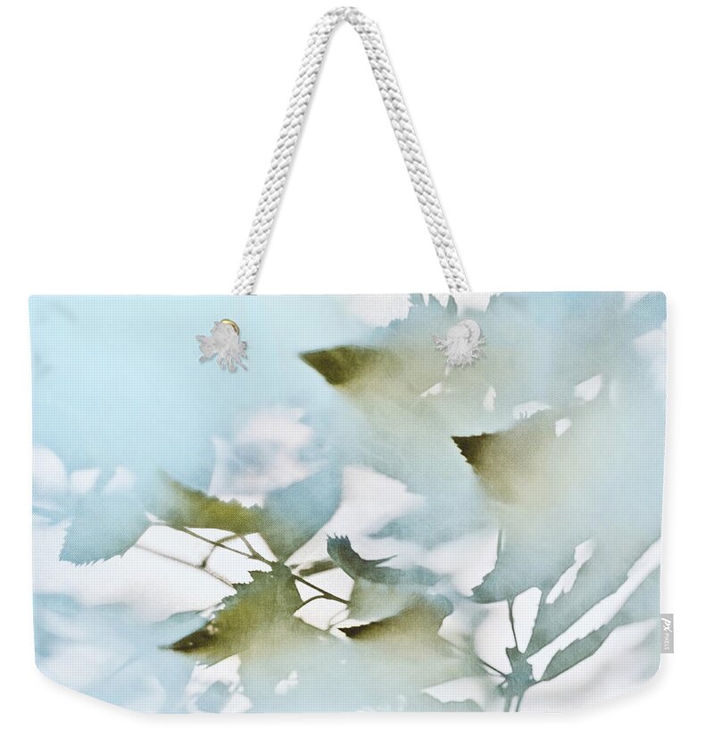 Leaves Weekender Tote Bag featuring the photograph Shadow Leaves by Scott Norris