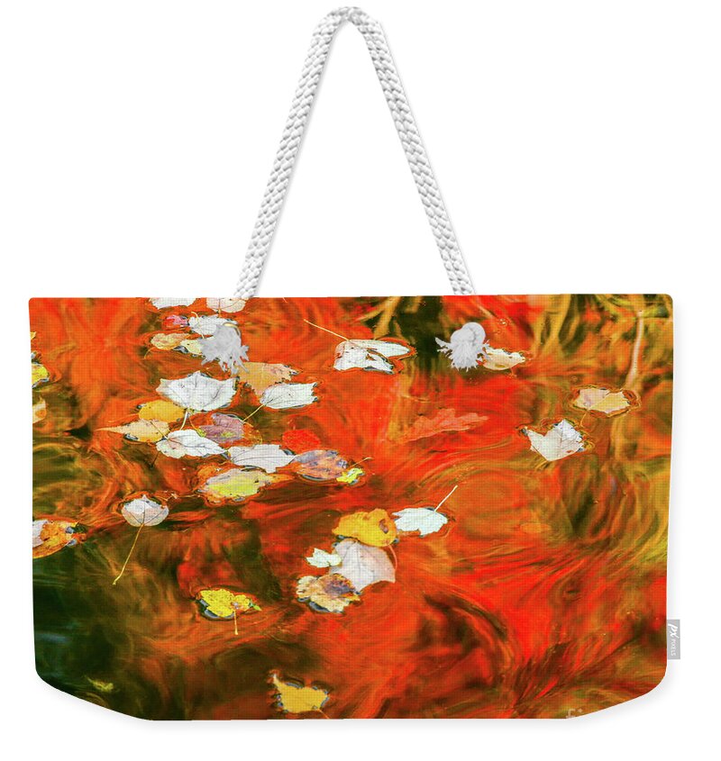 Fall Weekender Tote Bag featuring the photograph Shadow of the Red Dragon by Tom Cameron