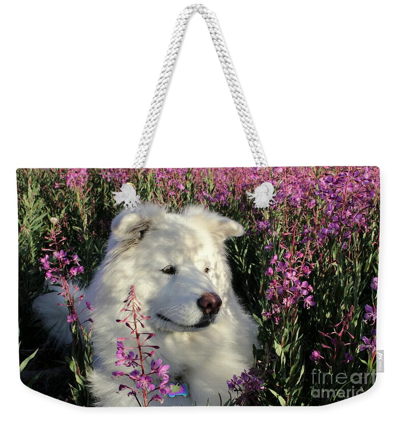 Samoyed Weekender Tote Bag featuring the photograph Shadows by Fiona Kennard