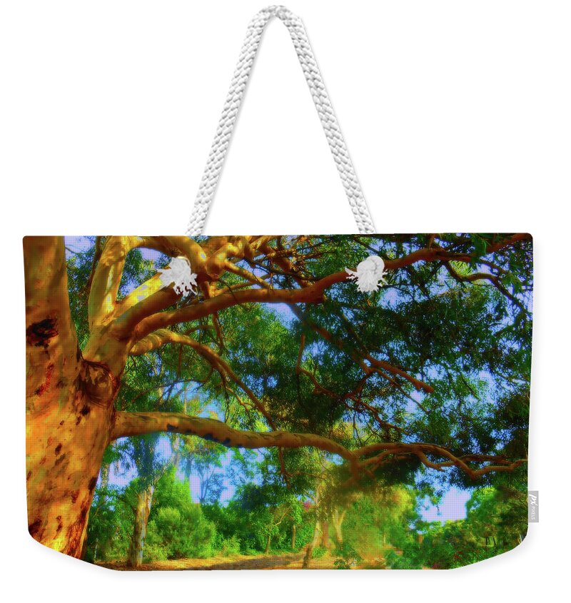 Forest Weekender Tote Bag featuring the photograph Shady by Mark Blauhoefer