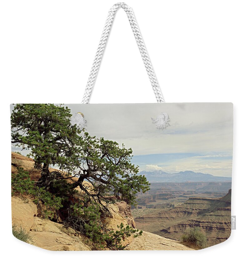 Tree Weekender Tote Bag featuring the photograph Shafer Canyon Overlook by Peter J Sucy
