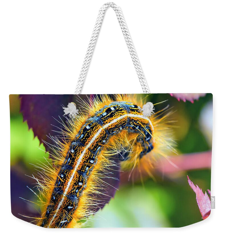Caterpillar Weekender Tote Bag featuring the photograph Shagerpillar by Bill and Linda Tiepelman