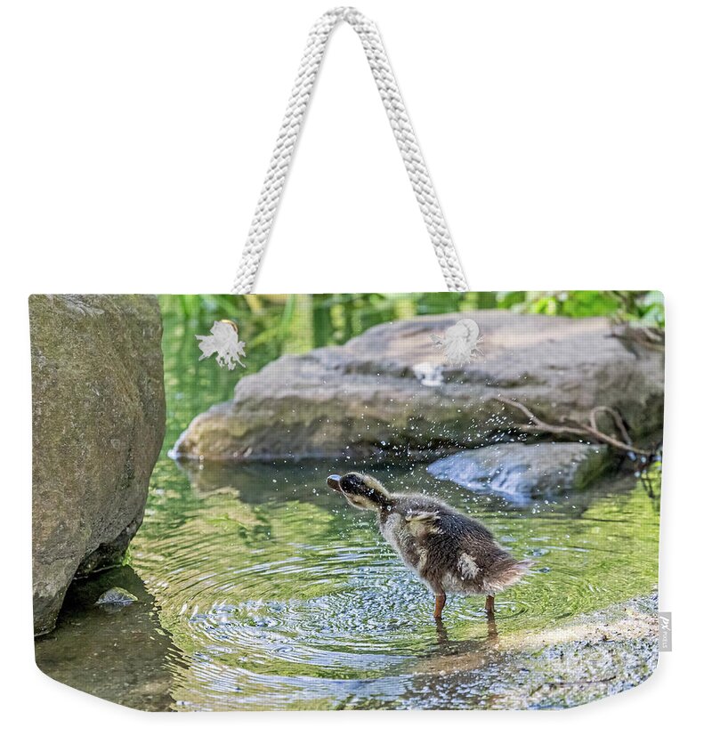 Mallard Weekender Tote Bag featuring the photograph Shake It Off by Kate Brown