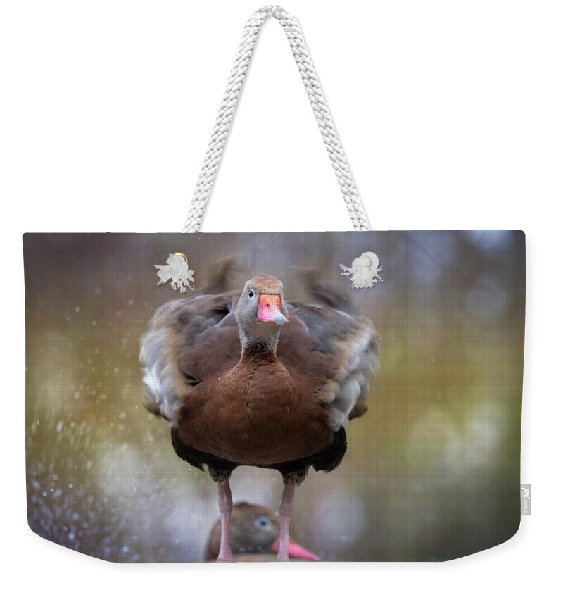 Photograph Weekender Tote Bag featuring the photograph Shake Your Booty by Cindy Lark Hartman