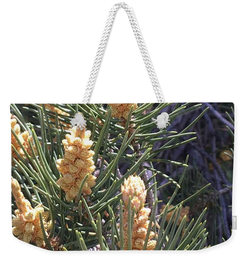 Pine Weekender Tote Bag featuring the photograph Shaking in the Pines by Pamela Henry