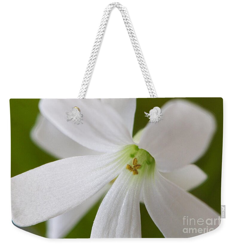 Sharmrock Weekender Tote Bag featuring the photograph Shamrock Blossom by Sharon Talson