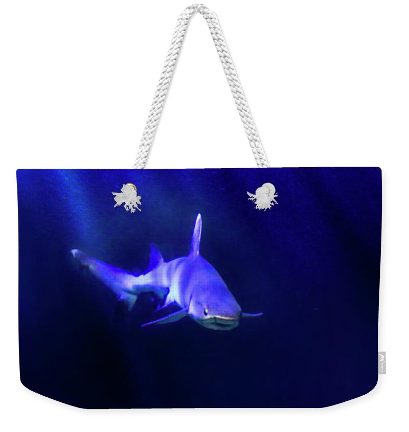 Shark Weekender Tote Bag featuring the photograph Shark by Jill Battaglia