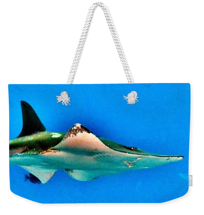 Fish Weekender Tote Bag featuring the photograph Shark or Stingray by Eileen Brymer