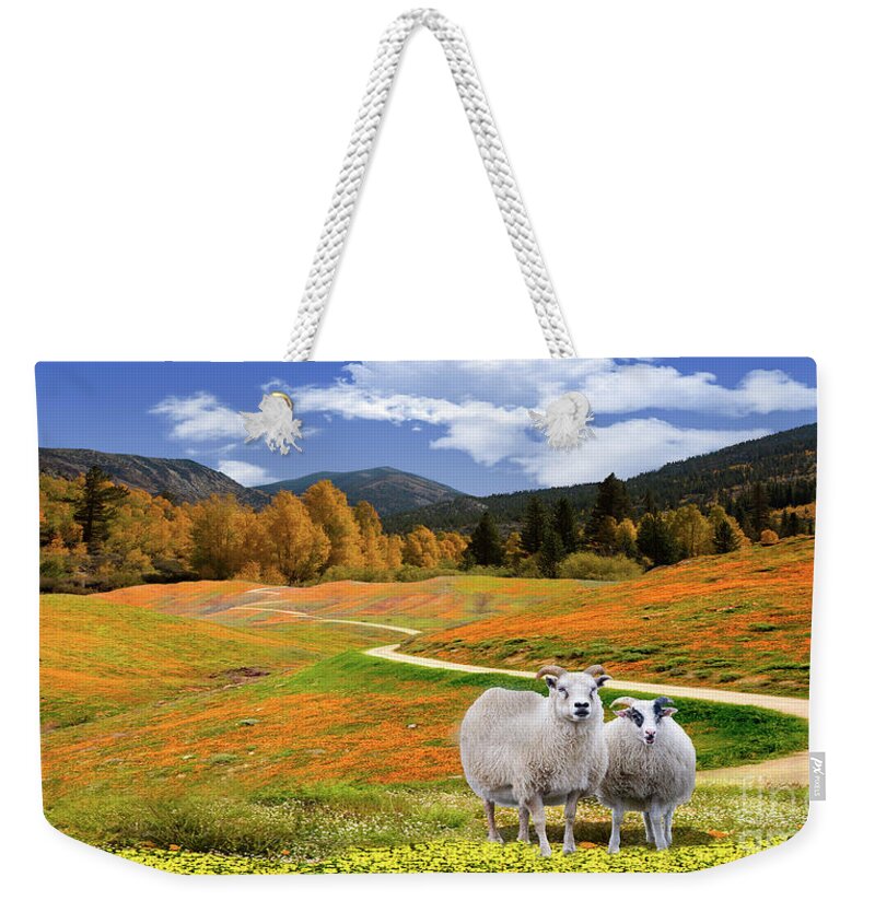 Sheep Weekender Tote Bag featuring the photograph Sheep and Road Ver 3 by Larry Mulvehill
