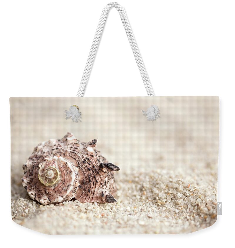 Shell Weekender Tote Bag featuring the photograph Shell And Sand by MindGourmet