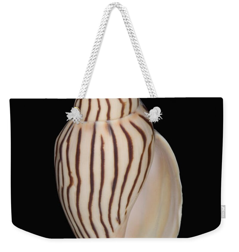 76-pfs0002 Weekender Tote Bag featuring the photograph Shell Pattern - BW by Bill Brennan - Printscapes