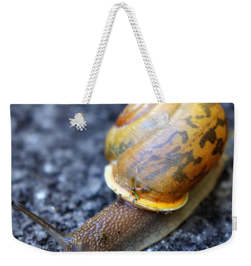 Snail Weekender Tote Bag featuring the photograph Shell Shock by Jennifer Robin