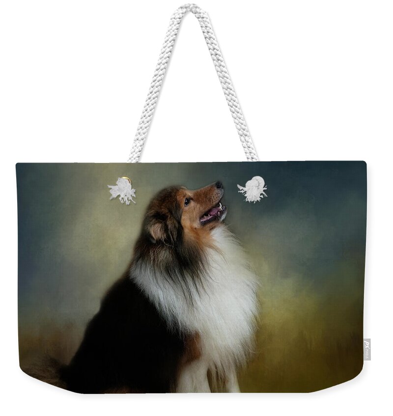 Dog Weekender Tote Bag featuring the photograph Shetland Sheep Dog by TnBackroadsPhotos