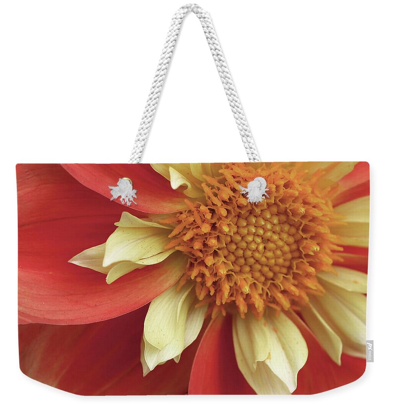 Dahlia Weekender Tote Bag featuring the photograph Shift in Perception by Vanessa Thomas