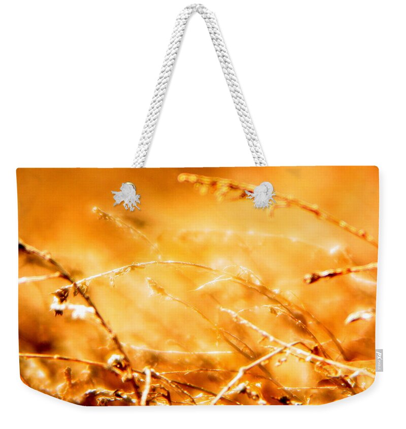 Grass Weekender Tote Bag featuring the photograph Shimmer by Julie Lueders 
