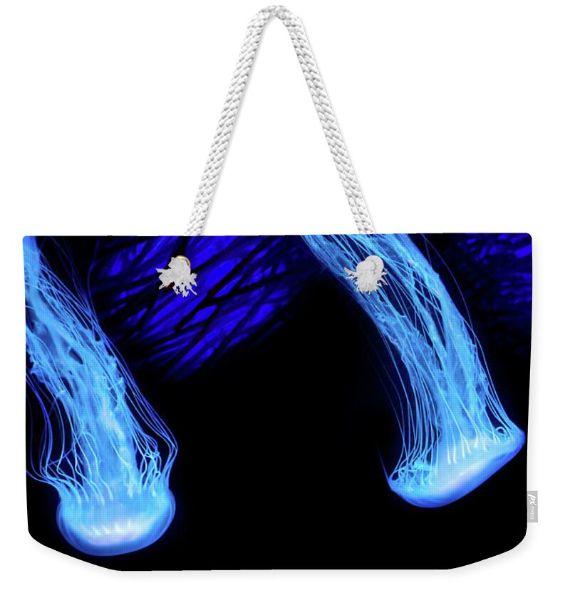 Jellyfish Weekender Tote Bag featuring the photograph Shimmering Wonders by Mark Andrew Thomas