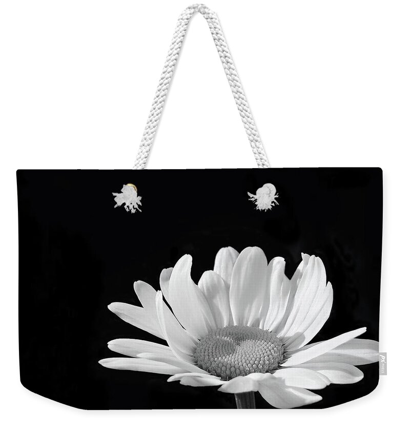 Daisy Weekender Tote Bag featuring the photograph Shine A Light by Kathi Mirto
