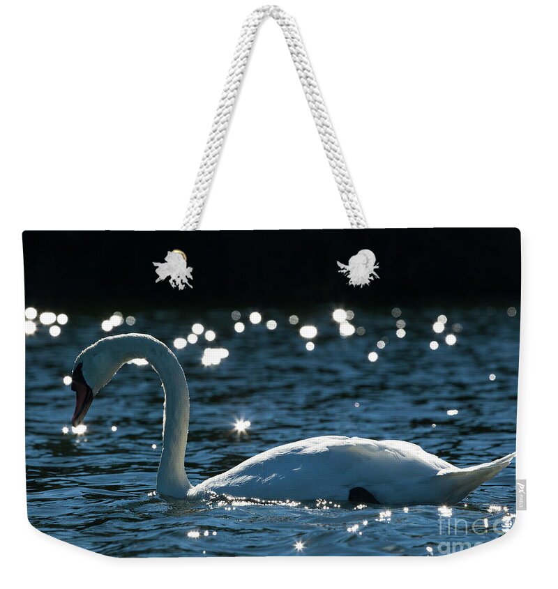 Shining Swan Weekender Tote Bag featuring the photograph Shining Swan by Michelle Constantine