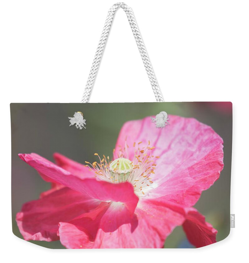 Shirley Poppy Weekender Tote Bag featuring the photograph Shirley Poppy 2017-1 by Thomas Young