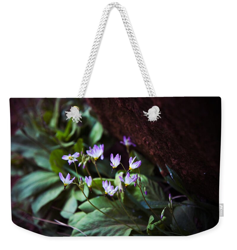 Flowers Weekender Tote Bag featuring the photograph Shooting Stars by Laura Roberts