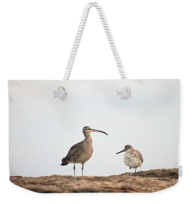 Shorebirds Weekender Tote Bag featuring the photograph Shorebirds of Windansea Beach by Bruce Patrick Smith