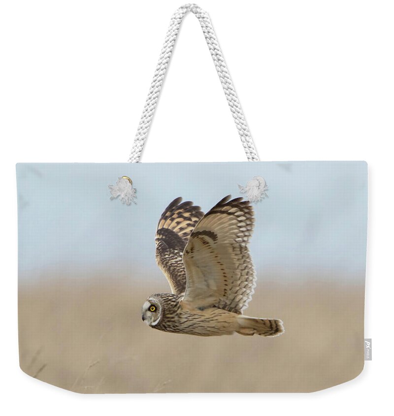 Short Weekender Tote Bag featuring the photograph Short-Eared Owl Hunting by Pete Walkden