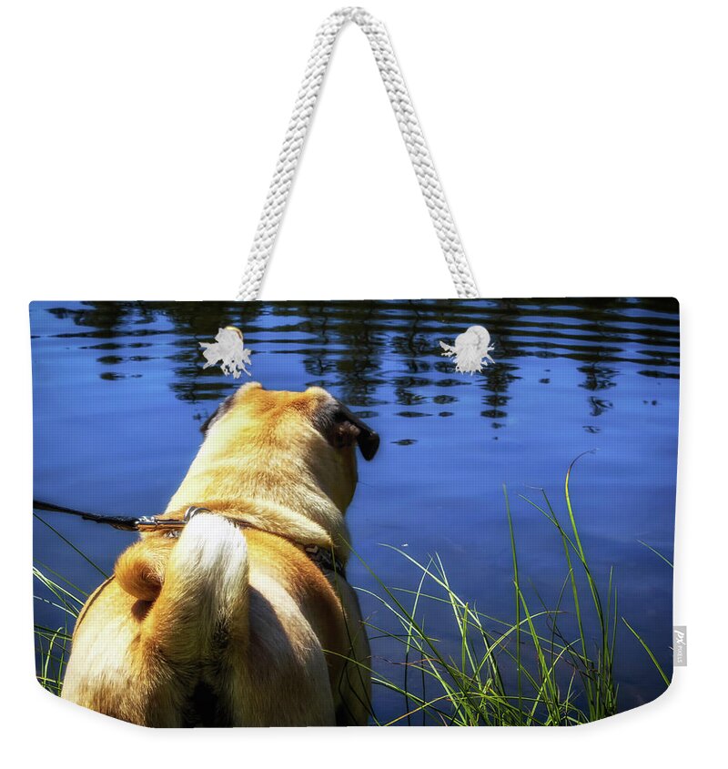 Bullseye Lake Weekender Tote Bag featuring the photograph Should I Stay or Should I Go by Marnie Patchett